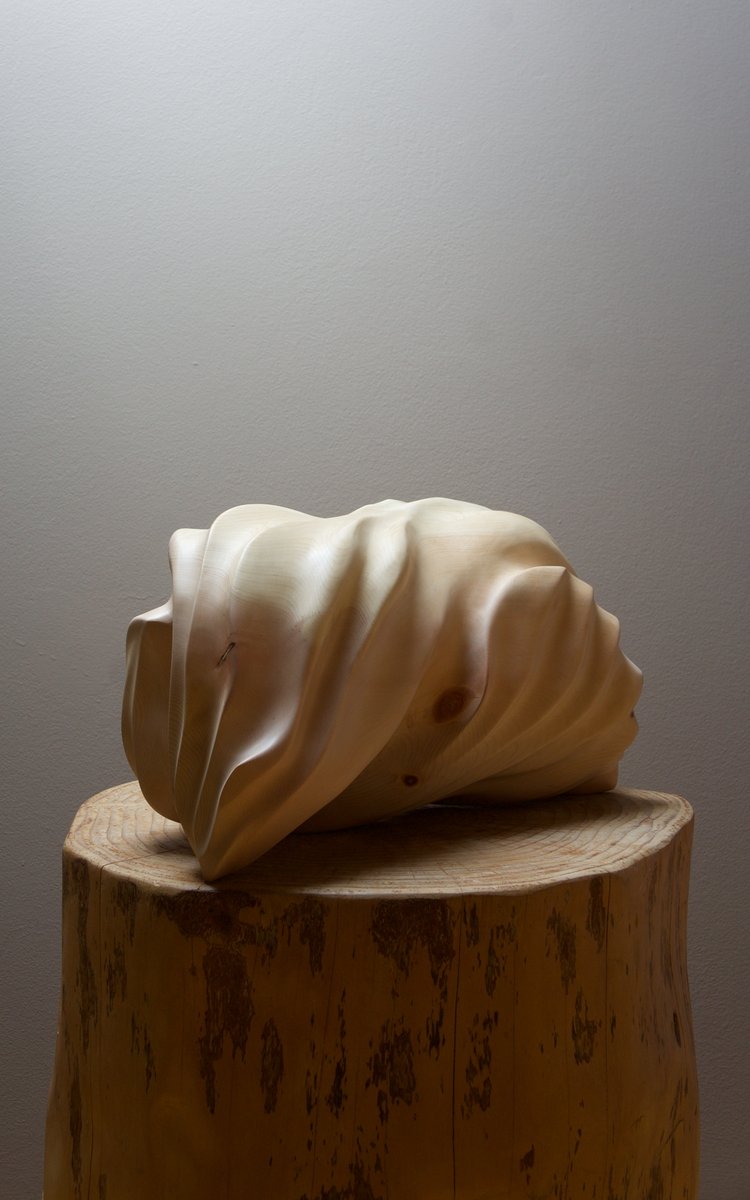 Work by Andrea Solaja
