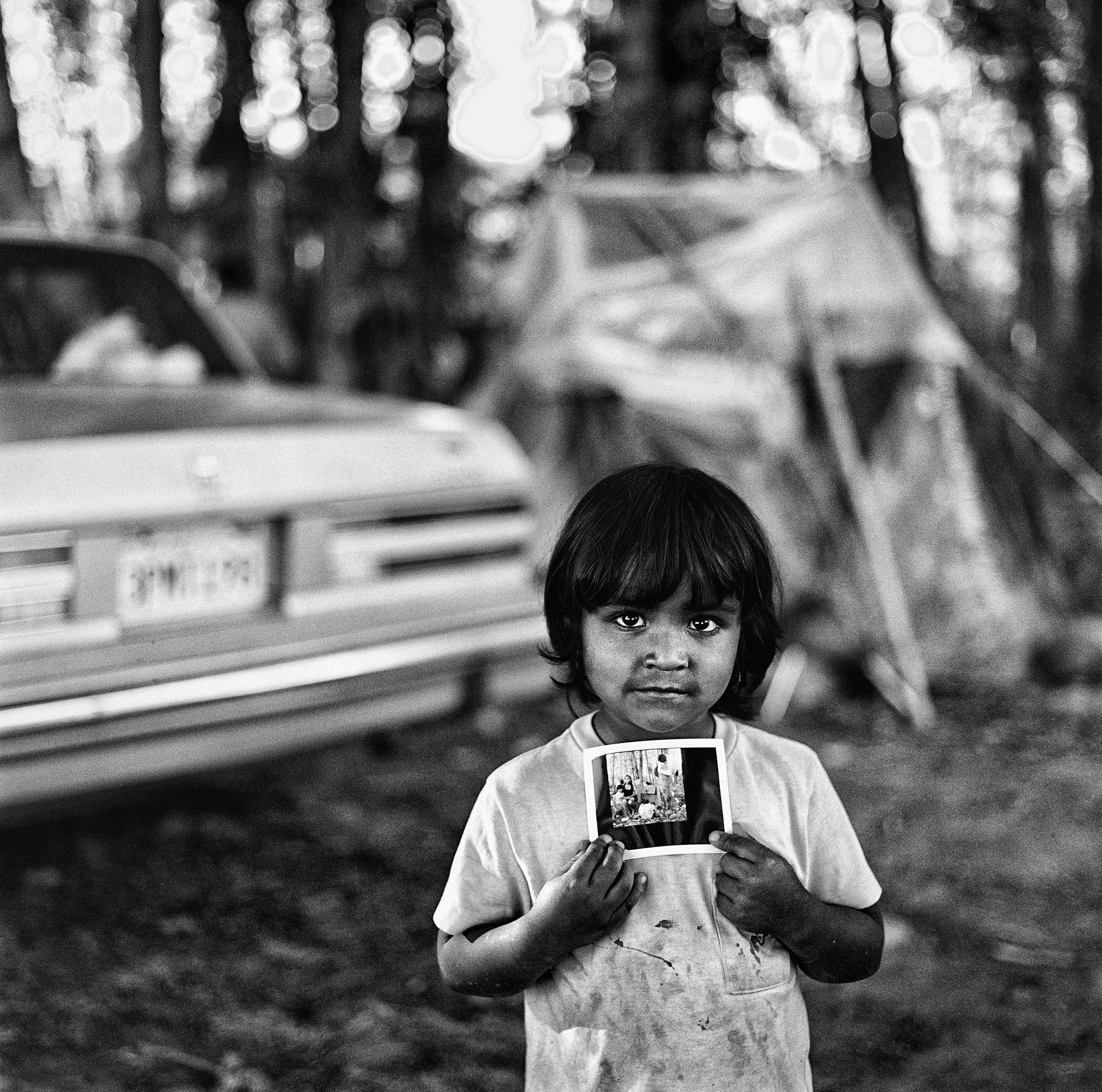 Work by Jeff Corwin